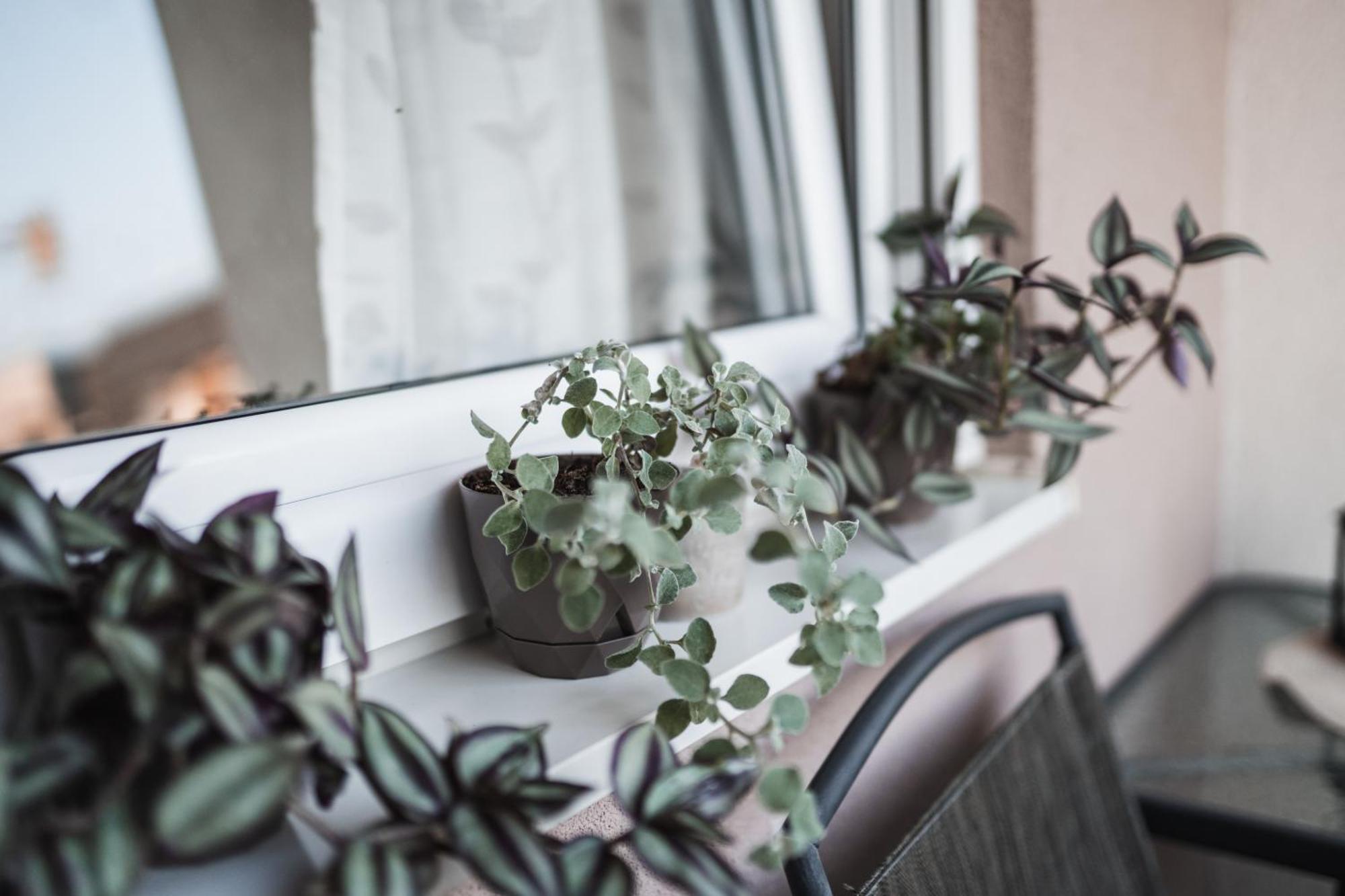 Apartman Centar Doboj Exterior foto